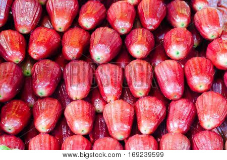 Rose apples or sell print market chomphu