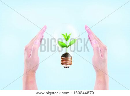 sunlight tree responsibility green eco-friendly lamp bulb symbol male light people technology energy invention solution planet conceptual renewable resource sustainability man ecological glass isolated photosynthesis natural innovation eco future consumpt