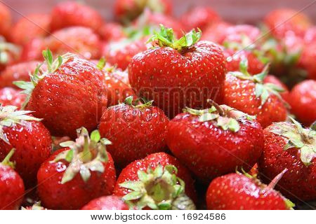 frische reife Erdbeeren