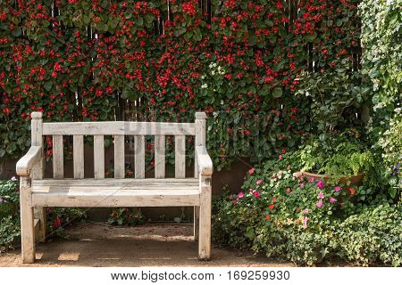 the old bench in the flowers garden