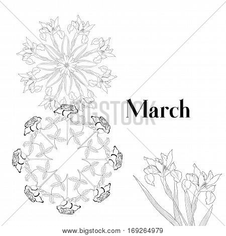 Background for international womans day. Spring flowers hand drawn sketches.  Vector Illustration