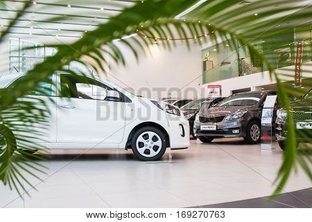Showroom And Car Kia Of Dealership Kia-zentr Kirov In Kirov City In 2016