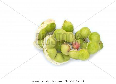 Top view Pithecellobium dulce isolated on white background