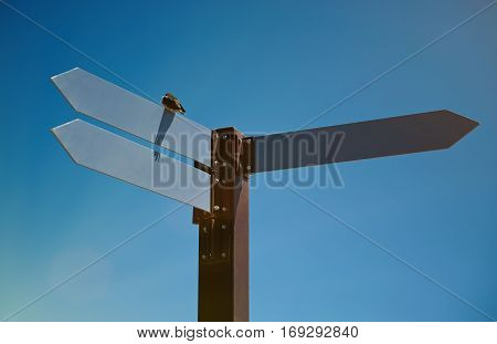 Signpost with three arrows on blue sky background. Closeup of crossroad sign
