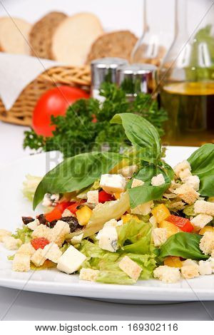 vegetable salad with croutons and greens on a white plate