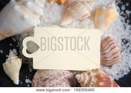 Shell with candle light and empty tag for wellness and relaxing concepts or massage advertising