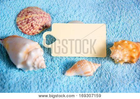 Shell with candle light and empty tag for wellness and relaxing concepts or massage advertising