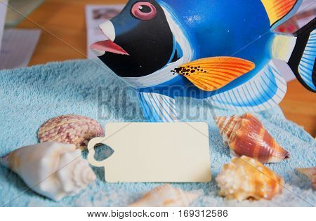 Shell with candle light and empty tag for wellness and relaxing concepts or massage advertising