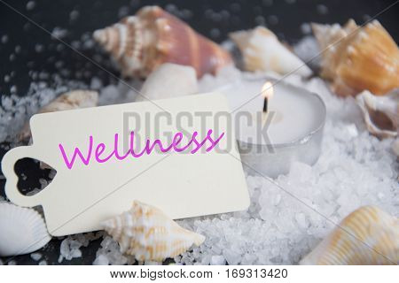 Shell with candle light and empty tag for wellness and relaxing concepts or massage advertising