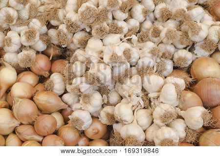Harvest onions and garlic. Golden onion and fresh garlic. Onions and garlic on a counter in the market. Texture of garlic and onion close-up. (Selective focus)