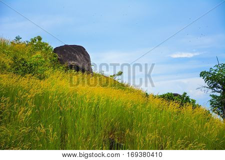 Beautiful landscape view at Elephant rock viewpoint