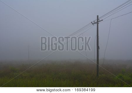 A misty foggy morning in a village