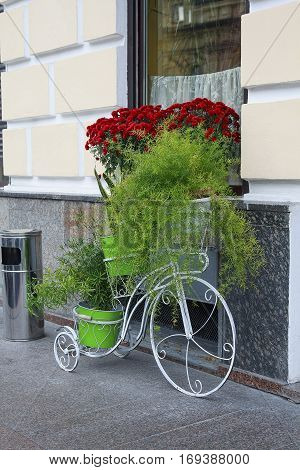 Flower bed in the form of a bicycle. Urban