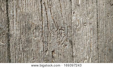 Wooden line texture. Surface of wood texture
