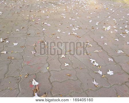 Pink flowers on concrete brick floor as background