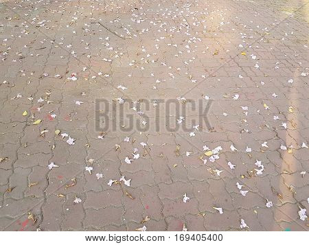 Pink flowers on concrete brick floor as background