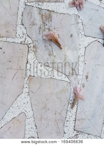 Close up white marble texture abstract background