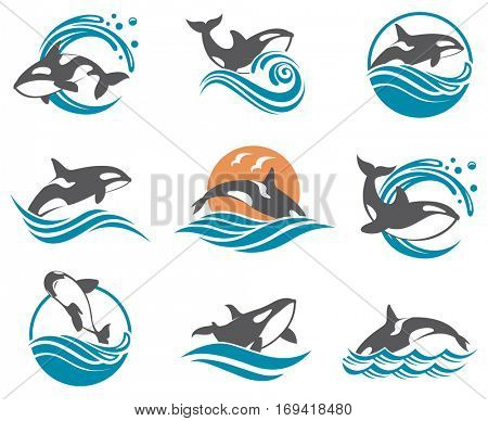 Collection with abstract symbols of whale and sea wave. Vector illustration