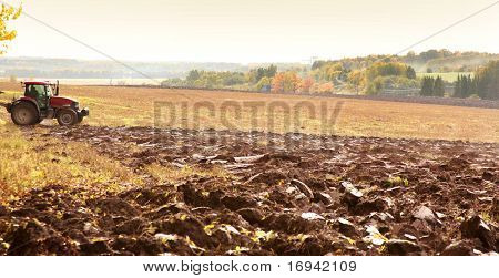 agrimotor와 오렌지가 필드