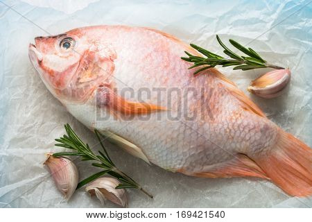 Fresh raw fish tilapia. Nile tiapia Oreochromis niloticus. Top view.