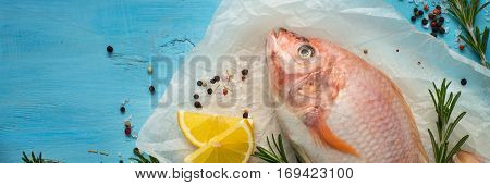 Fresh raw fish tilapia and ingredients.  Top view. Food cooking background. Long format good for web.