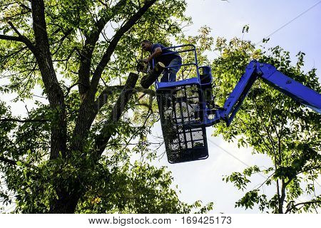 man on aerial platform trimming tree with chainsaw