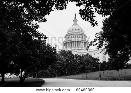 United States Capitol Building in Washington DC USA