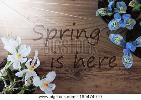Wooden Background With English Text Spring Is Here. Sunny Spring Flowers Like Grape Hyacinth And Crocus. Aged Or Vintage Style