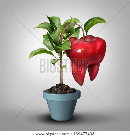 Dentistry and tooth growth or dentist oral medicine health care symbol as a groeing apple tree with a fruit shaped as a molar teeth icon as a dental hygiene and orthodontics metaphor with 3D illustration elements.