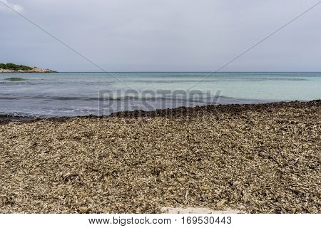 Rocks by the Mediterranean sea on the island of Ibiza in Spain, holiday and summer scene