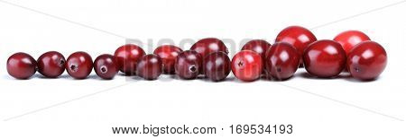 Close-up of cranberries on white background