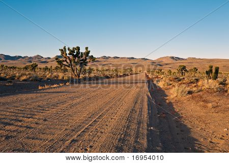 Kaba Saline Valley Road