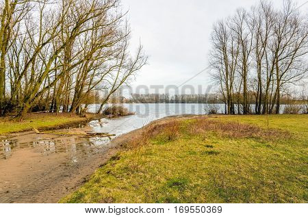 Bare trees and shrubs on the bank of a wide Dutch river. It's a cloudy day in the winter season.
