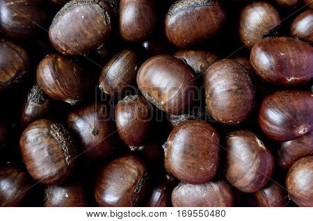 Closeup brown chestnut as a background, seamless