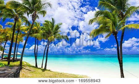 Tropical scenery. Beautiful palm beach with turquoise waters, Mauritius island