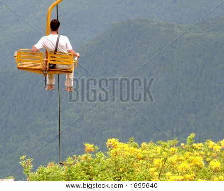 Vi passere over blomstrende buske
