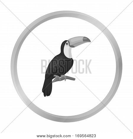 Toucan icon in monochrome style isolated on white background. Bird symbol vector illustration.