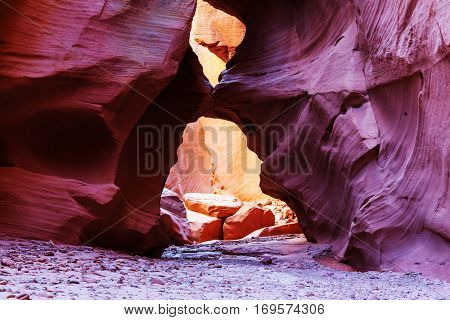 Slot canyon in Grand Staircase Escalante National park, Utah, USA. Unusual colorful sandstone formations in deserts of Utah are popular destination for hikers.