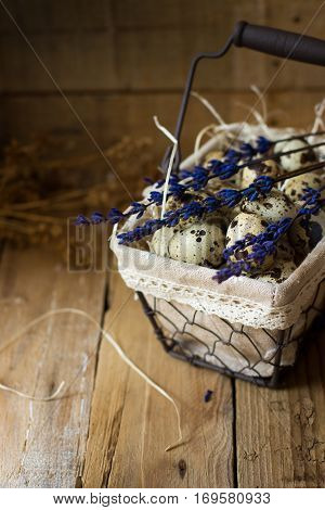 Quail eggs in a lined wire basket, on straw, with lavender twigs on barn wood background, Easter, rustic vintage style, kinfolk, simplicity, countryside interior