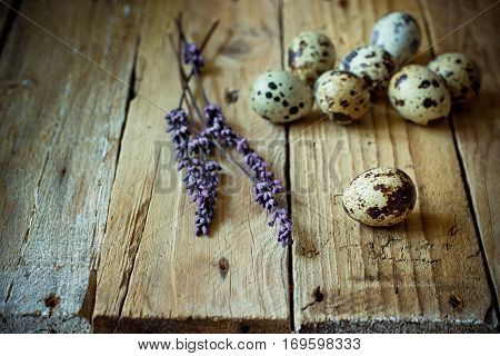 Scattered quail eggs on aged planked wood background with lavender twigs, rustic vintage style, minimalist, kinfolk, Easter, tranquility and simplicity concept