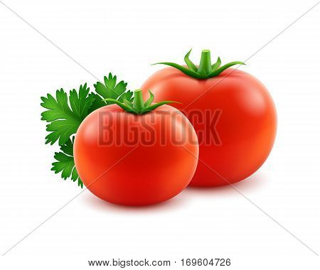 Vector Big Ripe Red Fresh Whole Tomatoes with Parsley Close up Isolated on White Background
