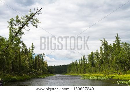 Rapids on the river. Eastern Siberia. Krasnoyarsk territory