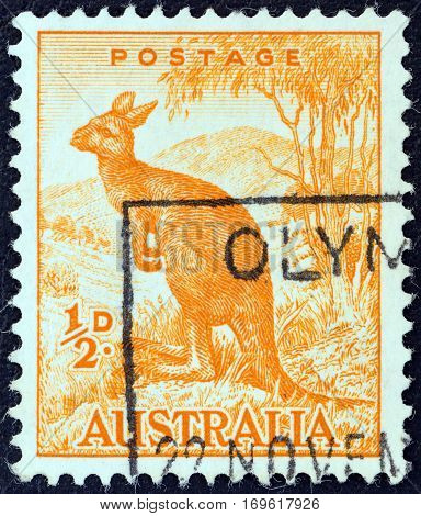 AUSTRALIA - CIRCA 1959: A stamp printed in Australia shows a Wallaroo, circa 1959.