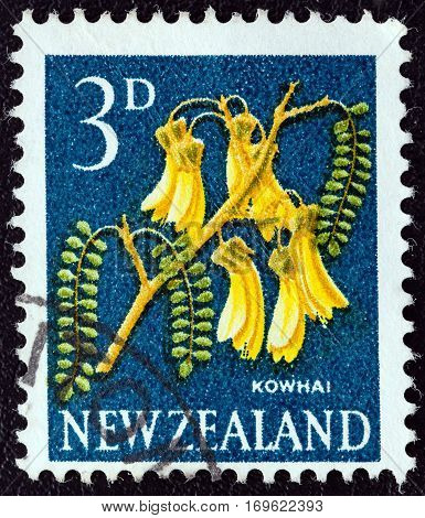 NEW ZEALAND - CIRCA 1960: A stamp printed in New Zealand shows Kowhai tree flowers, circa 1960.