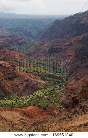 Pu`u Hinahina lookout offers one of the best views into Waimea Canyon on Kauai Hawaii