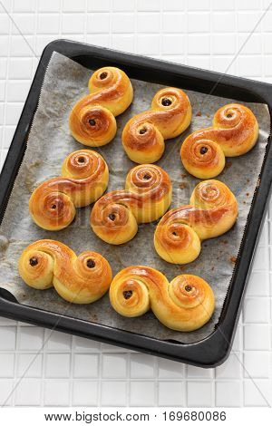homemade swedish saffron buns, lussekatt