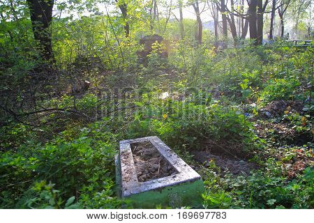 Ancient grave stone in graveyard surrounded by trees.
