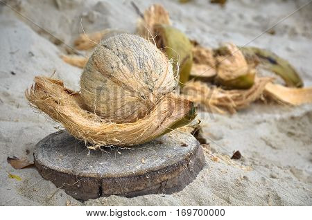 Peeled coconut and peel beside it on the sand.