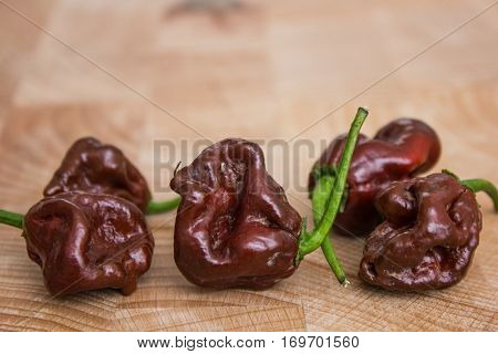 Spicy brown chinense pepper