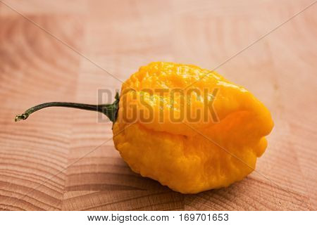 One of 7 pot yellow pepper